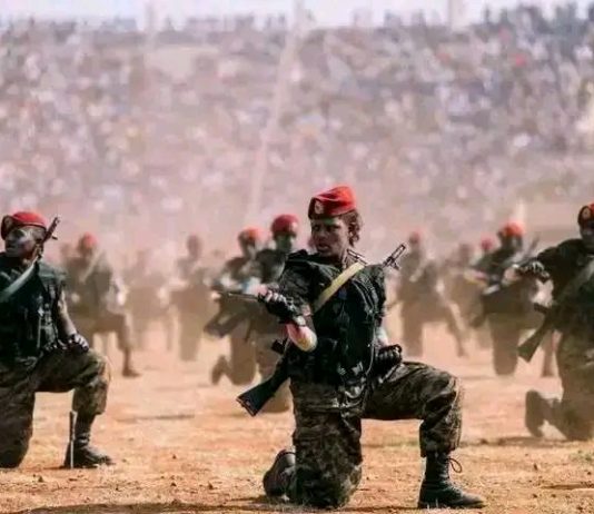 ከታሪካዊ ጠላቶች እስከ ውስጣዊ ባንዳዎች፤ የጽምዶ ሴራ እና የኢትዮጵያ ዝግጁነት