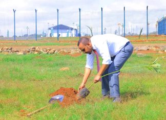 ጠቅላይ ሚኒስትር ዐቢይ አሕመድ ( ዶ.ር) በደብረ ማርቆስ ከተማ ችግኝ ተከሉ።