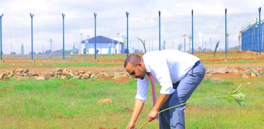 ጠቅላይ ሚኒስትር ዐቢይ አሕመድ ( ዶ.ር) በደብረ ማርቆስ ከተማ ችግኝ ተከሉ።