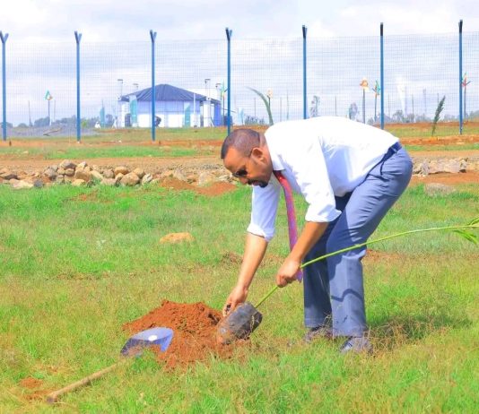 ጠቅላይ ሚኒስትር ዐቢይ አሕመድ ( ዶ.ር) በደብረ ማርቆስ ከተማ ችግኝ ተከሉ።