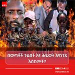 ወጣቶችን ለጦርነት በዶላር እየሸጠ የሚገኘው ሕገወጡ የሕወሓት ቡድን! FB_IMG_17839308078174029