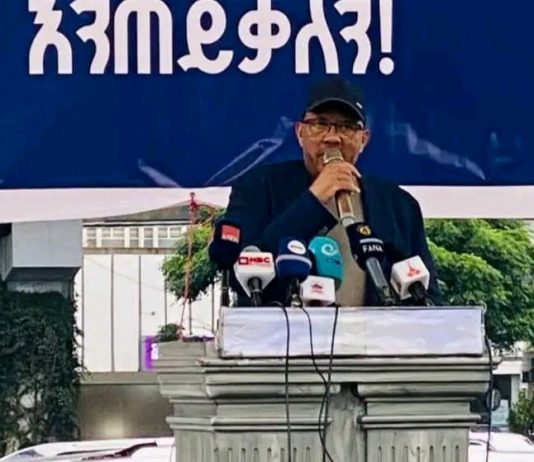 የትግራይ ሕዝብ ሰላም እንዲመለስ የበኩላቸውን ጥረት እንዲያደርጉ ለፌዴራል መንግሥት እና ለዓለምአቀፉ ማኅበረሰብ ጥሪ ቀረበ።