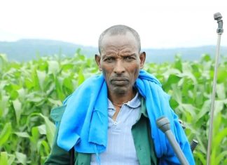 በምዕራብ ጎጃም ዞን በበቆሎ ሰብል ከ9 ሚሊዮን ኩንታል በላይ ምርት ይጠበቃል።