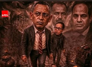 ሕገ ወጡ ሕወሃት ከኢትዮጵያ ብሔራዊ ጥቅም ደመኞች ጋር ማበሩ ለምን?