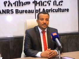 ☘️🌱”በአማራ ክልል በአንድ ጀንበር 327 ሚሊዮን ችግኝ ለተከላ ተዘጋጅቷል”አቶ ደረጀ ማንደፍሮ