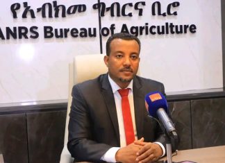 ☘️🌱”በአማራ ክልል በአንድ ጀንበር 327 ሚሊዮን ችግኝ ለተከላ ተዘጋጅቷል”አቶ ደረጀ ማንደፍሮ