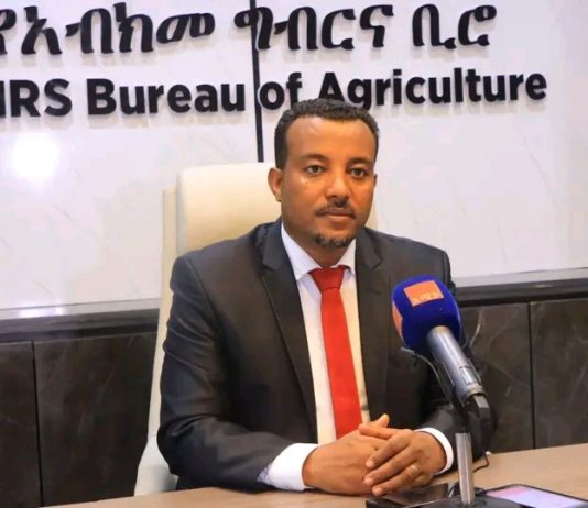 ☘️🌱”በአማራ ክልል በአንድ ጀንበር 327 ሚሊዮን ችግኝ ለተከላ ተዘጋጅቷል”አቶ ደረጀ ማንደፍሮ