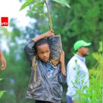 🌱 "ያለ ዛፍ ጥላ፣ ያለ ዕውቀት መላ የለም" ኢትዮጵያውያን 1785682019924