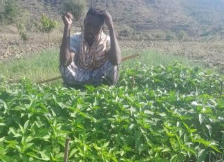 “አፈሩ ሲጠረግ ተስፋዬም አብሮ ይጠረግ ነበር…”