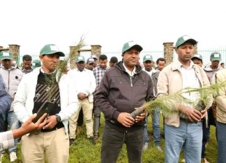 🍃 እንጅባራ ዩኒቨርሲቲ ከአረንጓዴ ልማት ባሻገር ለምግብ እና ለመድኃኒትነት የሚውሉ ተክሎችን እያለማ ነው።