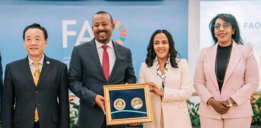 🌍 አረንጓዴው ዲፕሎማሲ – ድንበር ተሻጋሪው የኢትዮጵያ የሰላም እና የጋራ ብልጽግና አሻራ 🌱🤝