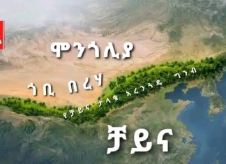ቻይና በአረንጓዴ ግንብ፣ ኢትዮጵያ ደግሞ በአረንጓዴ አሻራ የምድርን ጤና ጠብቀዋል።