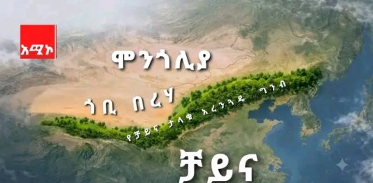 ቻይና በአረንጓዴ ግንብ፣ ኢትዮጵያ ደግሞ በአረንጓዴ አሻራ የምድርን ጤና ጠብቀዋል።