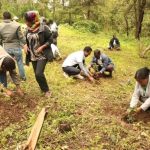በሰሜን ጎንደር ዞን በአንድ ቀን ጀምበር የችግኝ ተከላ ከ3 ነጥብ 5 ሚሊዮን በላይ ችግኝ ለመትከል ኅብረተሰቡ እየተረባረበ ነው። 1785760865183