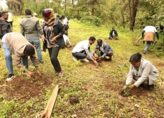 በሰሜን ጎንደር ዞን በአንድ ቀን ጀምበር የችግኝ ተከላ ከ3 ነጥብ 5 ሚሊዮን በላይ ችግኝ ለመትከል ኅብረተሰቡ እየተረባረበ ነው።