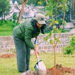 "የአረንጓዴ አሻራ የዘመናችን የትውልዱ አሻራ" ከንቲባ አዳነች አቤቤ 1785763873449