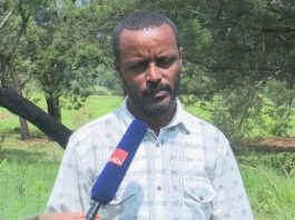 የአረንጓዴ አሻራ መርሐ ግብር የምግብ ዋስትናን ለማረጋገጥ እና ተፈጥሮን ለማከም አግዟል።