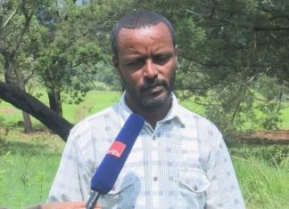 የአረንጓዴ አሻራ መርሐ ግብር የምግብ ዋስትናን ለማረጋገጥ እና ተፈጥሮን ለማከም አግዟል።