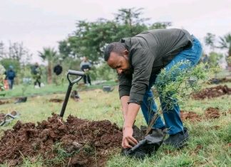 ስምንት ዓመታት፤ ቀጣይነት ባለው ተግባር!