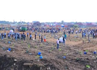 በሶማሌ ክልል በረሃማነትን የሚገዳደረው ታሪካዊው የአንድ ጀምበር አረንጓዴ አሻራ በደማቁ እየተካሄደ ነው።