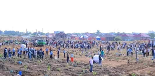 በሶማሌ ክልል በረሃማነትን የሚገዳደረው ታሪካዊው የአንድ ጀምበር አረንጓዴ አሻራ በደማቁ እየተካሄደ ነው።