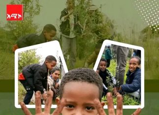 የየክልሎች የአንድ ጀምበር የችግኝ ተከላ እቅድ ምን ይመስላል?