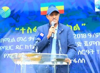 🌿🌱 “ዛሬ ችግኝ ብቻ አይደለም የምንተክለው ኢትዮጵያን የማጽናት ተስፋ ጭምር ነው” አቶ ጎሹ እንዳላማው