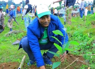 “አረንጓዴ ዐሻራ የአየር ንብረት ለውጥን ከመከላከል ባለፈ ለምግብ ዋስትናም ትልቅ አስተዋጽኦ እያበረከተ ነው” ነጋሽ ዋጌሾ (ዶ.ር)