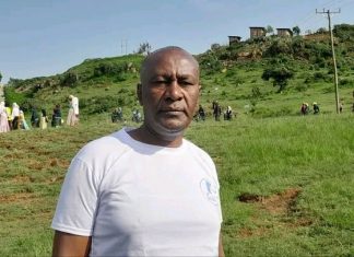በአረንጓዴ አሻራ መርሐ ግብር የታየውን አንድነት በሰላም ተግባርም መድገም ይገባዋል።