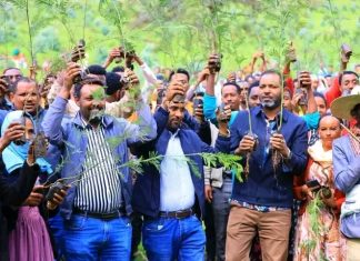 “አረንጓዴ አሻራ መርሐ ግብር የሰው ልጅን ከተፈጥሮ ጋር እያቆራኘ ነው”
