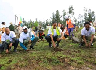 የተተከሉትን ችግኞች እንደ ልጅ በመንከባከብ ለፍሬ ለማብቃት ቁርጠኛ መኾናቸውን የደብረ ታቦር ከተማ ነዋሪዎች ተናገሩ።