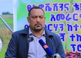የኢኖቬሽን እና ቴክኖሎጂ ሚኒስቴር በደብረ ብርሃን ከተማ ደረጃውን የጠበቀ የቅድመ መደበኛ ትምህርት ቤት ሊገነባ ነው።