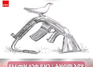 🕊️ ከአፈሙዝ ጩኸት ወደ አዕምሮ ከፍታ – የዕውነተኛ ጀግንነት ምልክት