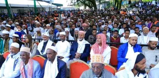 መውሊድ – ከደስታ ባሻገር ምን?