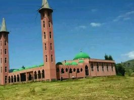 ጀማ ንጉሥ – የሐበሻው የመውሊድ መነሻ እና የዓሊሞች ማዕከል