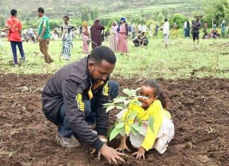 የአንድ ጀምበር የችግኝ ተከላ መርሐ ግብሩ ኢትዮጵያውያን ከተባበርን የማናሳካው እንደሌለ ማሳያ ነው።