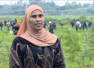 ‘’ኢትዮጵያ ዓለም አቀፍ የአየር ንብረት ለውጥን ለመቋቋም ኀላፊነቷን እየተወጣች ነው” ጫልቱ ሳኒ