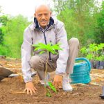 የአማራ ክልል ርእሰ መሥተዳድር አረጋ ከበደ "የአንድ ጀምበር" የችግኝ ተከላ መርሐ ግብር አሻራቸውን አሳረፉ። 761719360_1820919652048672_7424192948264920901_n