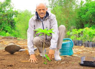 የአማራ ክልል ርእሰ መሥተዳድር አረጋ ከበደ “የአንድ ጀምበር” የችግኝ ተከላ መርሐ ግብር አሻራቸውን አሳረፉ።