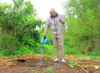“የአረንጓዴ አሻራ መርሐ ግብር የአርሶ አደሮችን ተጠቃሚነት እያረጋገጠ ነው”