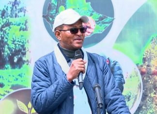 “የአረንጓዴ አሻራ መርሐ ግብር ከተፈጥሮ ጋር የምንስማማበት ዓይነተኛ መሣሪያ ነው” አፈ ጉባኤ ታገሰ ጫፎ