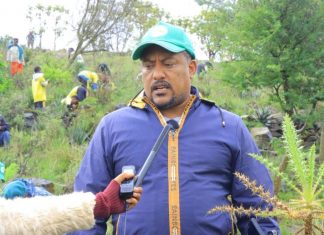 ችግኝ በመትከል ሕልውናን የመታደግ ኀላፊነት በደብረ ብርሃን !