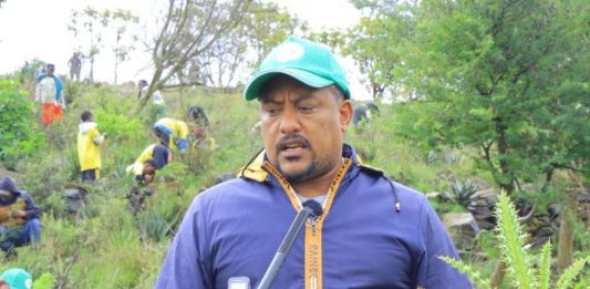 ችግኝ በመትከል ሕልውናን የመታደግ ኀላፊነት በደብረ ብርሃን !