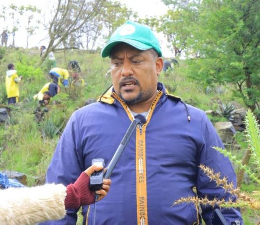 ችግኝ በመትከል ሕልውናን የመታደግ ኀላፊነት በደብረ ብርሃን !