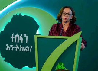 እስከ ቀኑ 9 ሰዓት 700 ሚሊዮን ችግኞች ተተክለዋል፦ የመንግሥት ኮሙኒኬሽን አገልግሎት ሚኒስትር እናትዓለም መለሰ