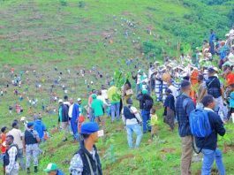 ከ40 ችግኝ እስከ ተስፋን መትከል፤ የትውልድ፣ የምጣኔ ሀብትና የዓለም አቀፍ አብነት ጉዞ።