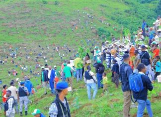 ከ40 ችግኝ እስከ ተስፋን መትከል፤ የትውልድ፣ የምጣኔ ሀብትና የዓለም አቀፍ አብነት ጉዞ።