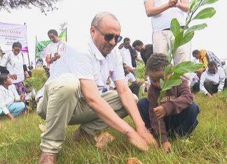 “ችግኝ ስንተክል አብሮነትን፣ ፍቅርን እና አንድነትንም እናጸናለን”