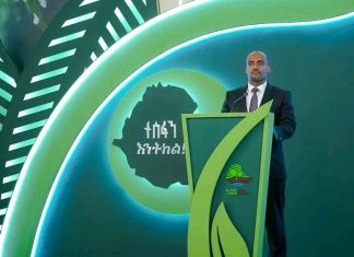 በአንድ ጀምበር እስከ አሁን ከ578 ሚሊዮን በላይ ችግኞችን መተከላቸውን የግብርና ሚኒስትር አዲሱ አረጋ ገልጸዋል።