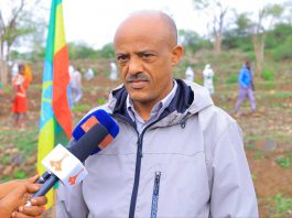 “የአረንጓዴ አሻራ ምንጮች እንዲጎለብቱ እና ምርት እና ምርታማነት እንዲጨምር አድርጓል” ርእሰ መሥተዳድር አረጋ ከበደ